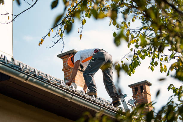 Best Residential Roof Replacement  in Montegut, LA
