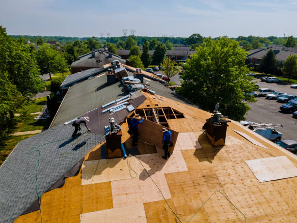 Best Roof Gutter Cleaning  in Montegut, LA