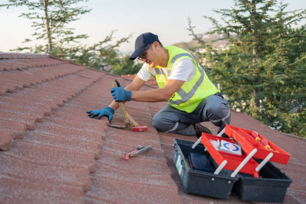 Best Sealant for Roof  in Montegut, LA