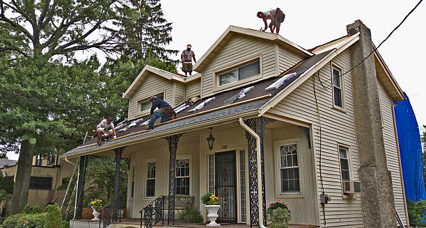 Best New Roof Installation  in Montegut, LA