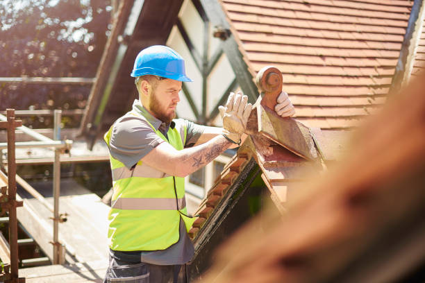 Best Shingle Roofing Installation  in Montegut, LA