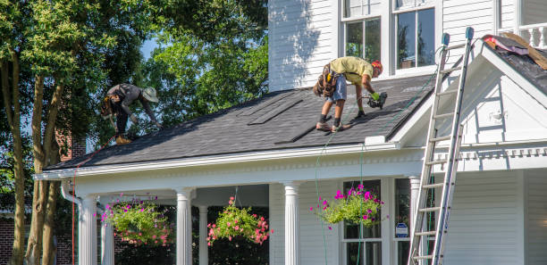 Best Metal Roofing Contractor  in Montegut, LA