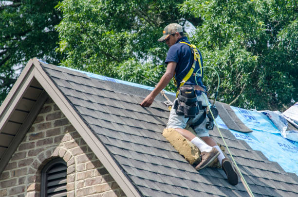 Best New Roof Installation  in Montegut, LA